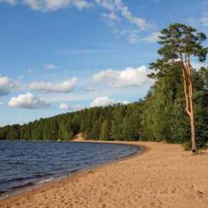 Kako doći: Jezero Krasavitsa. Karta pojedinosti Lenjingradskog kraja