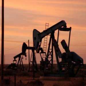 Kako se proizvodi ulje? Gdje oni izlučuju ulje? Cijena nafte