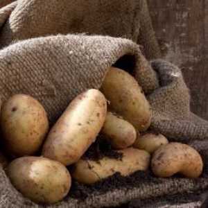 Kako skladištiti krumpir u podrumu: u mrežama, vrećama, labav