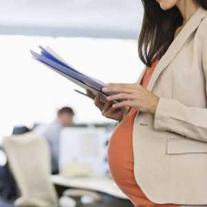 Kako koristiti maternitetski kapital? Maternity capital - hipoteka