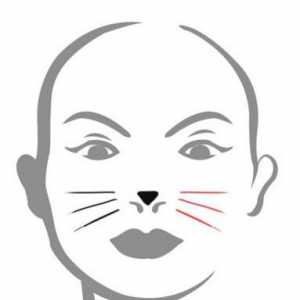 Kako crtati mačku na licu. Upute i preporuke
