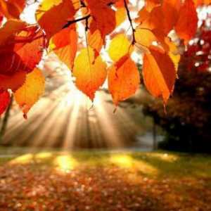 Kako napisati neobičan esej o temi: "Jesen"?