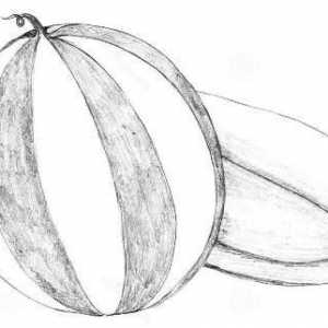 Kako nacrtati lubenicu kako bi izgledao kao stvaran