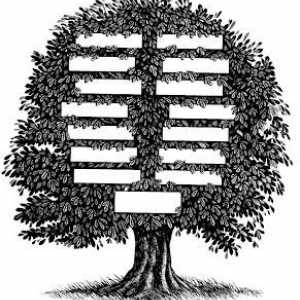 Kako nacrtati obiteljsko stablo: praktični savjeti