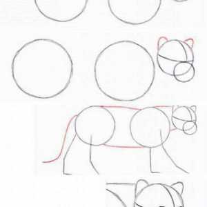 Kako nacrtati jaguar: pouku