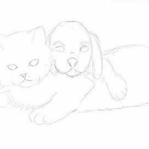 Kako nacrtati mačku i psa zajedno