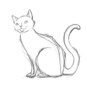 Kako crtati mačku u fazi s olovkom. Kako nacrtati mačku za djecu?