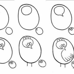 Kako nacrtati piletinu? Učiteljske klase