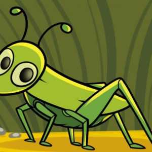 Как нарисовать кузнечика – 2 способа изображения насекомого
