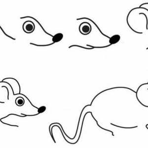 Kako crtati miša: dvije majstorske klase
