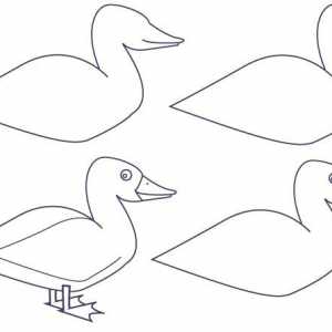 Kako crtati patka lijepo?