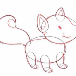 Kako crtati životinju u stupnjevima olovkom? Kako privući ljubimca