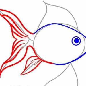 Kako nacrtati zlatnu ribicu s olovkom? Podrobna uputa