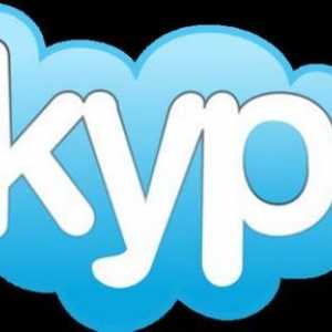 Kako postaviti mikrofon u Skypeu - nekoliko jednostavnih koraka