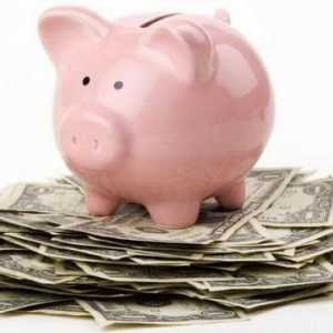 Kako naučiti uštedjeti novac i uštedjeti novac skromnim dohotkom? Praktični savjeti