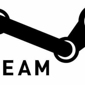Kako očistiti povijest nicks na Steam? 2 metode rada