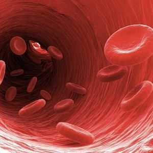 Kako odrediti pH krvi. PH krvi osobe: norma i odstupanja
