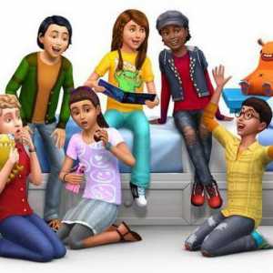 Kako otvoriti konzolu u "The Sims 4": opis koraka po korak, kodove i preporuke