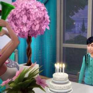Kako odrasti u "The Sims 4" i organizirati veliki odmor?