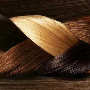 Kako pravilno miješati boje za kosu? Važne nijanse, stol sjenila