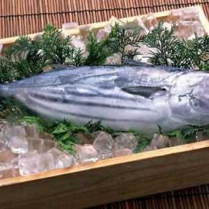 Kako se kuhati tuna fileti: recepti za jela. Tuna odrezak. Kako napraviti svježe smrznutu tunu