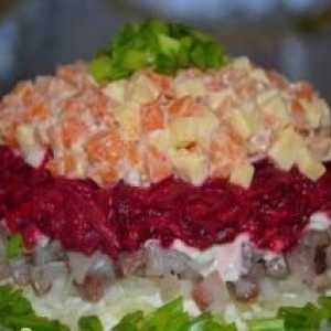 Kako pripremiti `iznenađenje` salate od povrća i ribe?