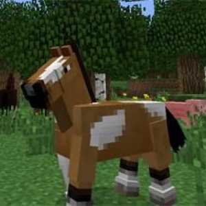 Kako trenirati konja u Minecraftu?