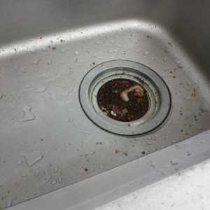 Kako mogu očistiti leglo u sudoperu? Uklanjanje blokada u sudoperu u kuhinji ili u kupaonici