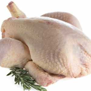 Kako brzo i učinkovito smanjiti piletinu