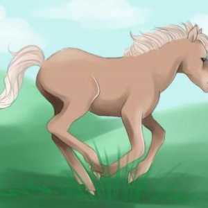 Kako nacrtati ponija. Kako nacrtati `May Little Pony`. Kako izvući poni iz…