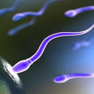 Kako proći spermu? Opće informacije