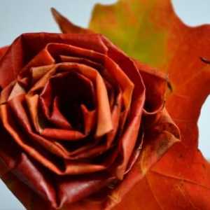 Kako napraviti ruže iz javorovih lišća lijepo?