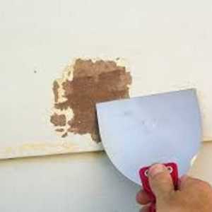 Kako ukloniti stare boje od zidova: načine i alate