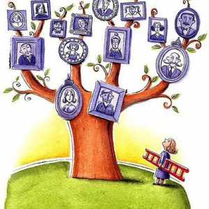 Kako napraviti obiteljsko stablo. Podrobna uputa