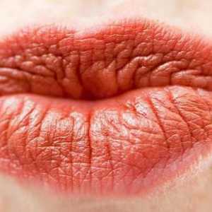 Kako stvoriti učinak poljubljenih usana