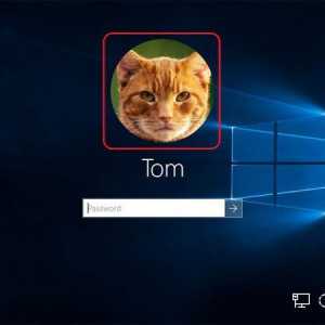 Kako izbrisati avatar u sustavu Windows 10, promijeniti ga ili postaviti standardnu ​​sliku