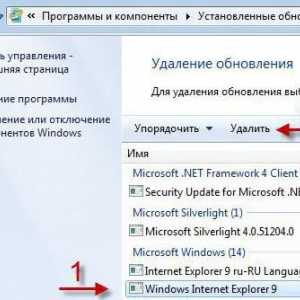 Kako mogu izbrisati Internet Explorer iz Windows 7 ili bilo kojeg drugog sustava?