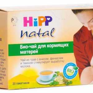 Kako koristiti Hipp čaj za majke koje rade?