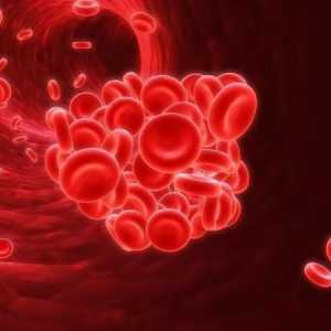Kao u krvnim testovima, indiciran je hemoglobin: osnovni indeksi i transkripti