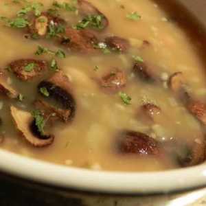 Kako kuhati micelij (juha s gljivama)?