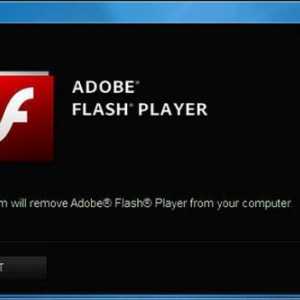 Kako omogućiti "Flash Player" u Google Chromeu: savjeti i trikovi