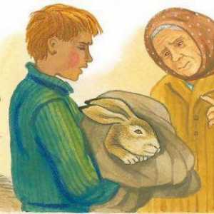 Kako objašnjavate naslov priče "Hare šapice": heroji i analiza