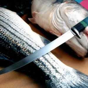 Kako odabrati nož za ribu. Kvalitetni nož za rezanje ribe