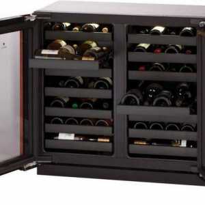 Kako odabrati hladnjak za domaće vino? Je li moguće pohraniti vino u hladnjak?