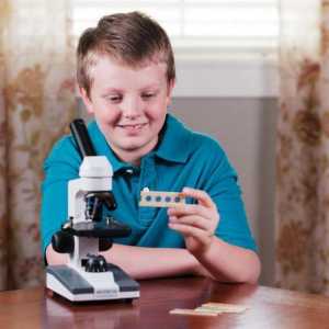 Kako odabrati mikroskop za školskog?