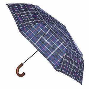 Kako odabrati čovjekov kišobran: korisni savjeti
