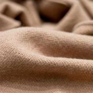 Kako odabrati pokrivač s kamilice? Savjeti za odabir i pregled proizvoda različitih proizvođača