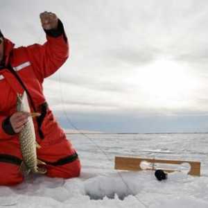 Как выбрать зимний эхолот? Эхолоты для зимней рыбалки: отзывы. Какой фирмы зимний эхолот купить?