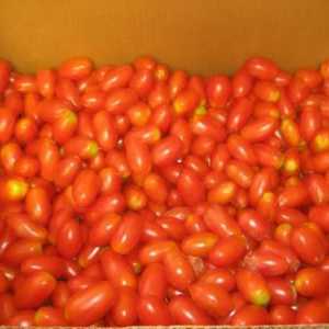 Kako zatvoriti rajčice za zimu s grožđem?