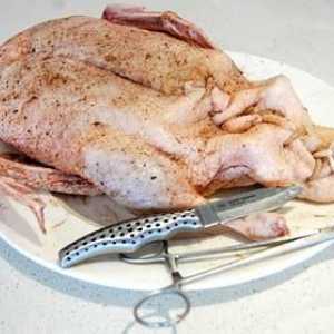 Kako marinirati patku za pečenje? Savjeti kako pravilno i ukusno marinirati patku za pečenje u…